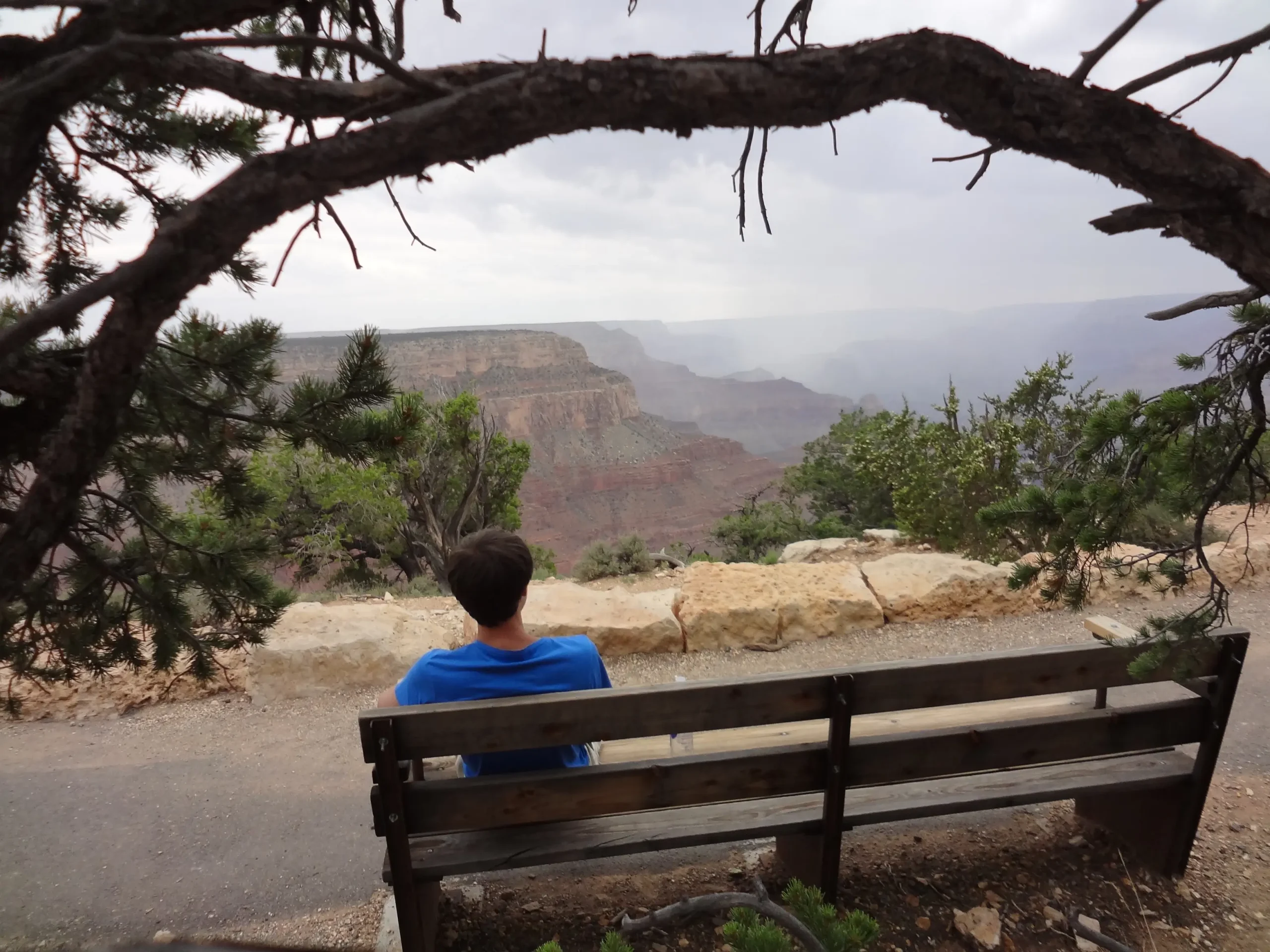 Человек сидит на скамейке и смотрит на Гранд Каньон