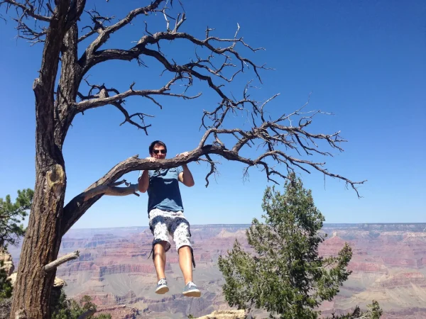 ВК подтягивается на дереве на Гранд Каньоне, США